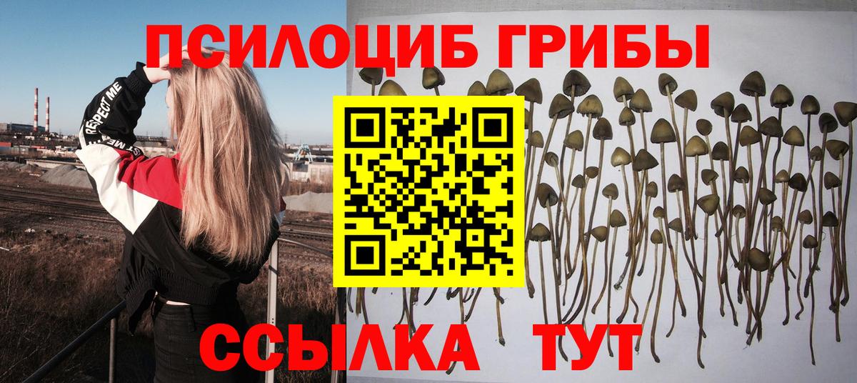 Псилоцибиновые грибы Magic Shrooms Морозовск